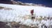B-champ-penitents5500m